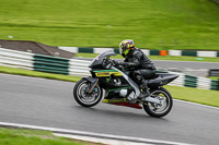 Lower Group Black Bikes